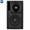 Loa RCF M 501